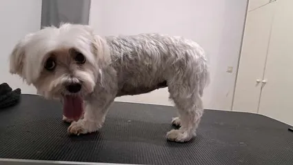 385532672 177392568783462 6760762259010645303 n