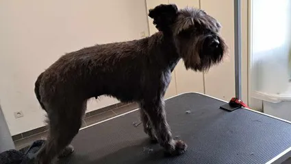 387518361 1003086197472084 611042352689339037 n