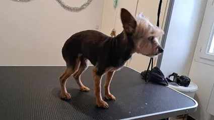 385551831 741791824664243 4345967293260327434 n