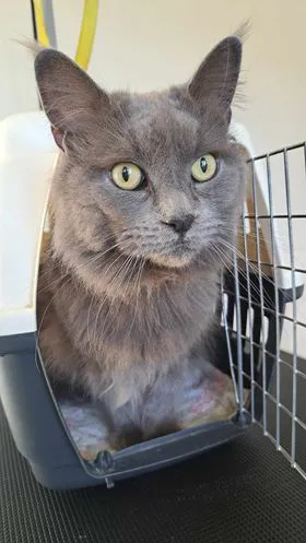 384568241 1071956407327213 855786932987916962 n