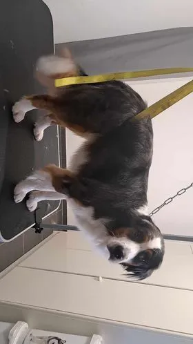 370198882 1410882869812156 4068612775263856099 n