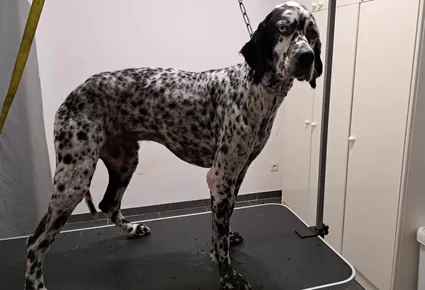 363643703 728590849167294 8350448578134924922 n