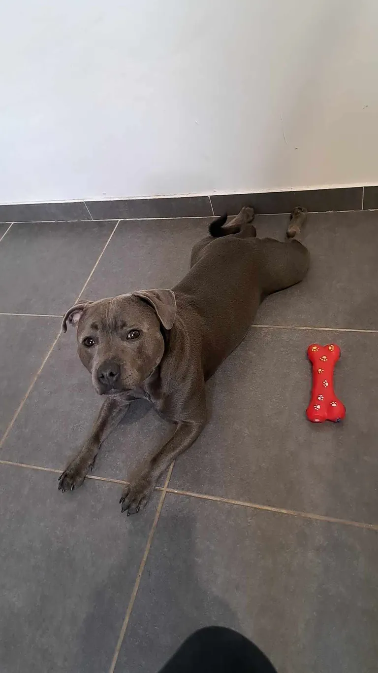 414777370 1516685509124385 5511946051913245114 n