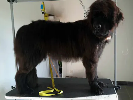 1er t 14 octobre 2023 34