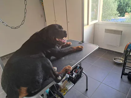 380402519 665378295699785 7628827350762226320 n