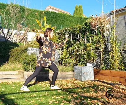Cours tai chi sur mesure a domicile bourgoin artdumieuxetre