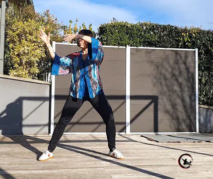 Cours qi gong tai chi sur mesure a domicile bourgoin artdumieuxetre