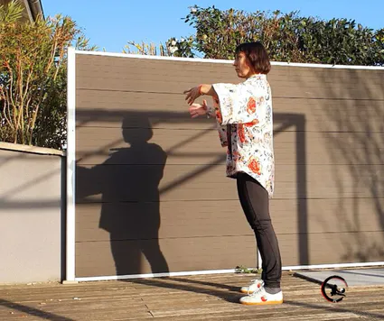 Cours qi gong sur mesure a domicile bourgoin artdumieuxetre