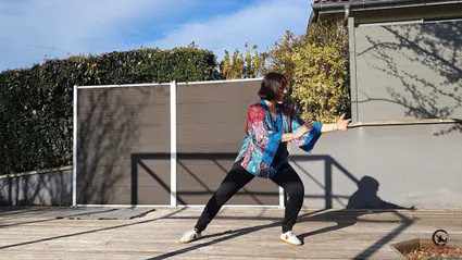 Cours sur mesure qi gong tai chi bourgoin artdumieuxetre ame