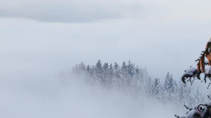 Cours qi gong et tai chi bourgoin maubec nivolas ruy villefontaine l isle d abeau ame artdumieuxetre adeline viviant 2024 12 04