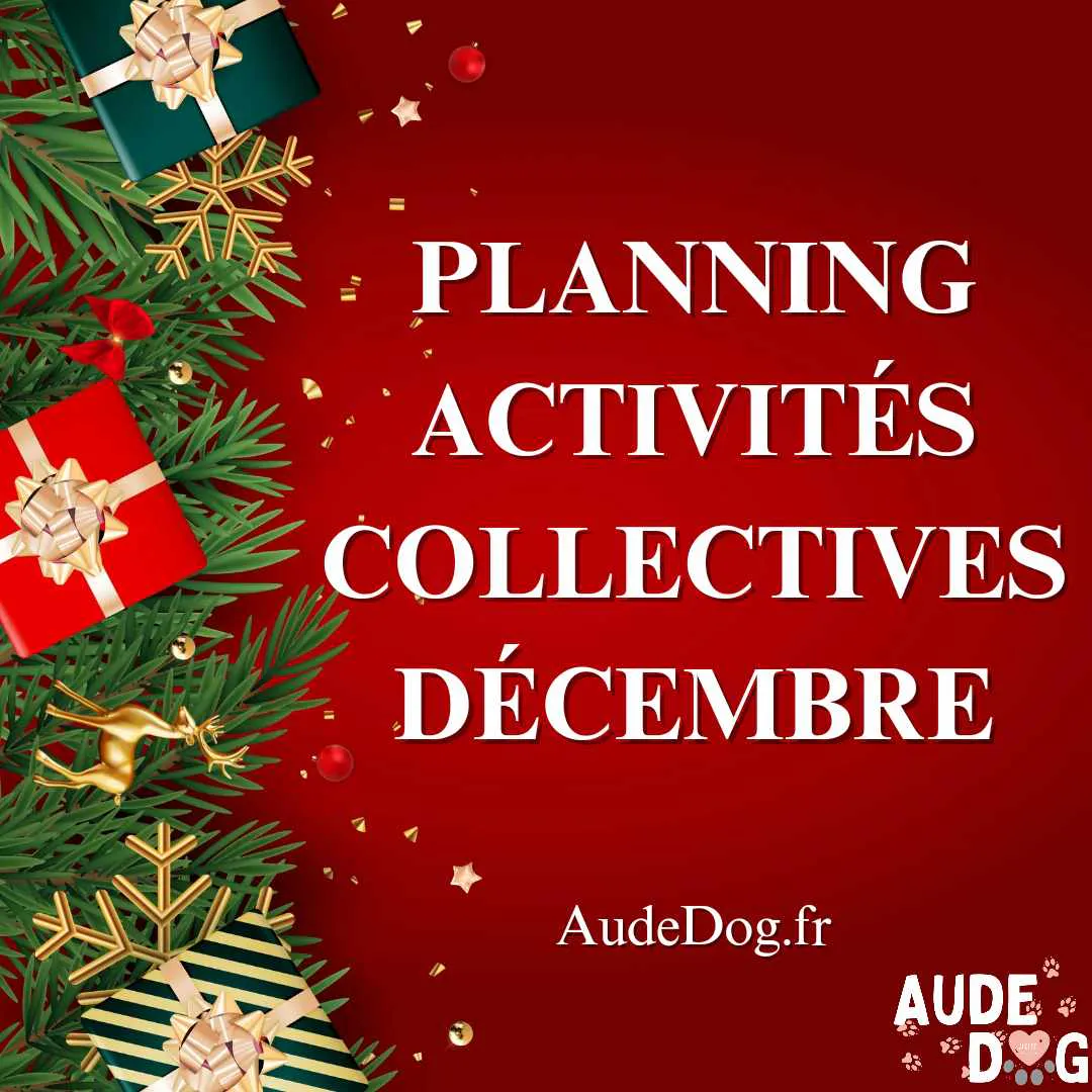 Planning des activités colletives de Décembre