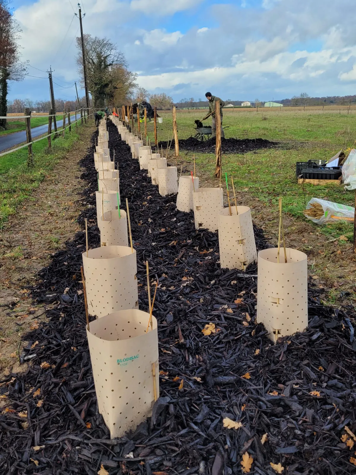 La haie Chevêche est née !
