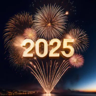 Bonnes fêtes de fin d'année