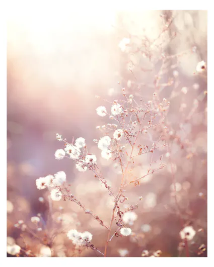 Une année 2025 au Naturel