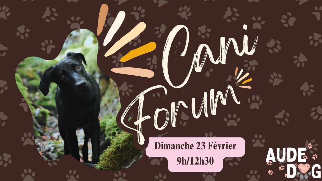 Cani Forum