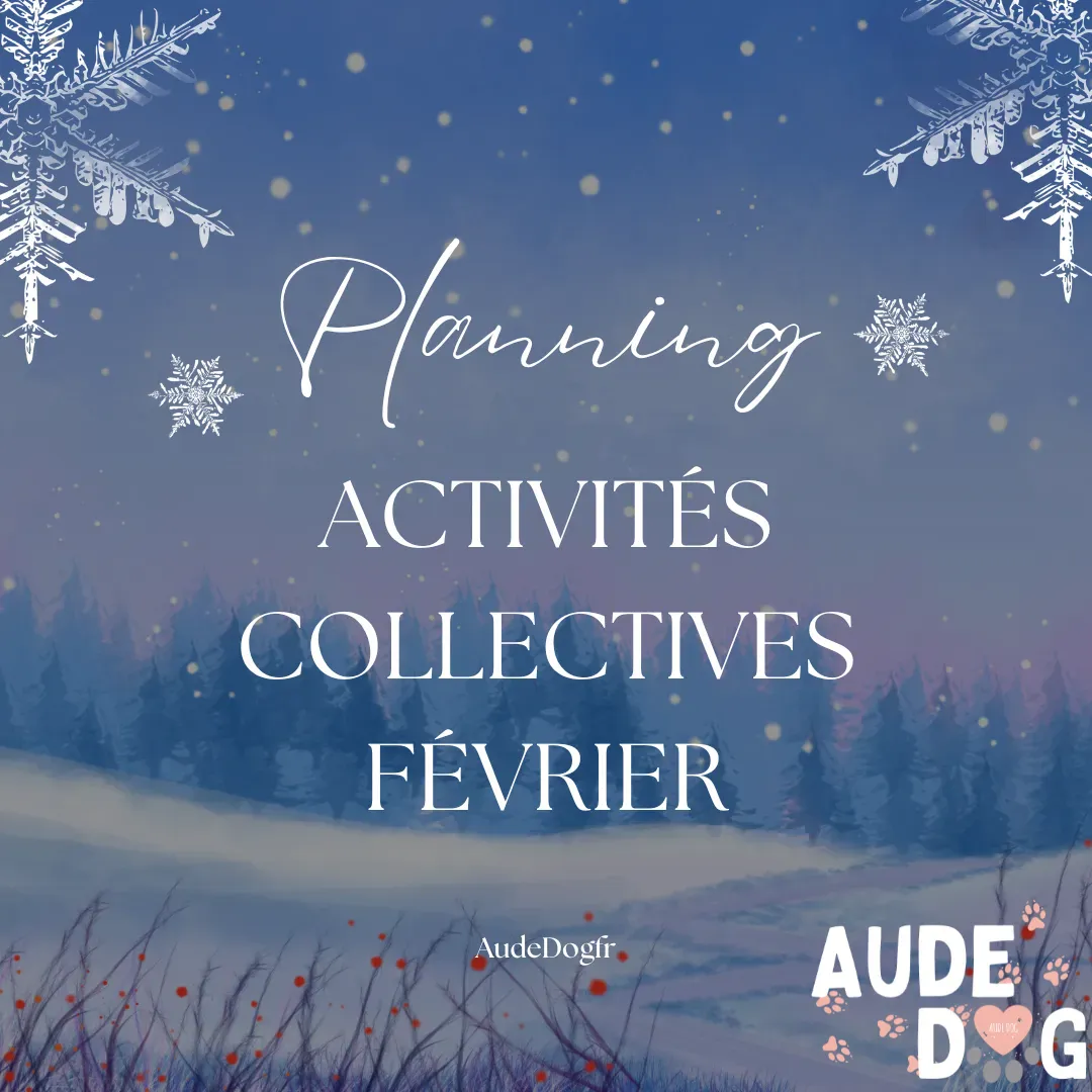 Planning activités collectives Février