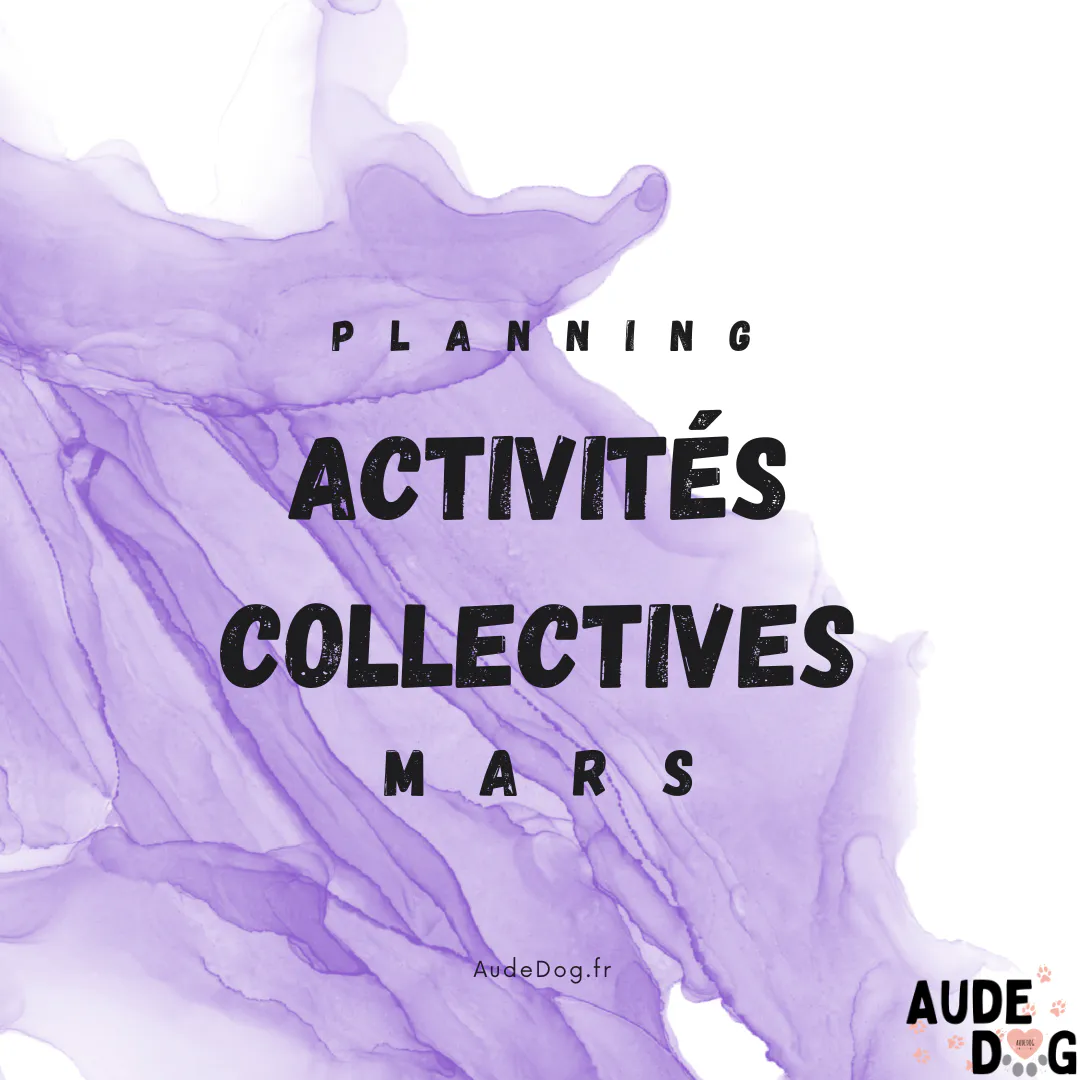 Planning activités collectives Mars
