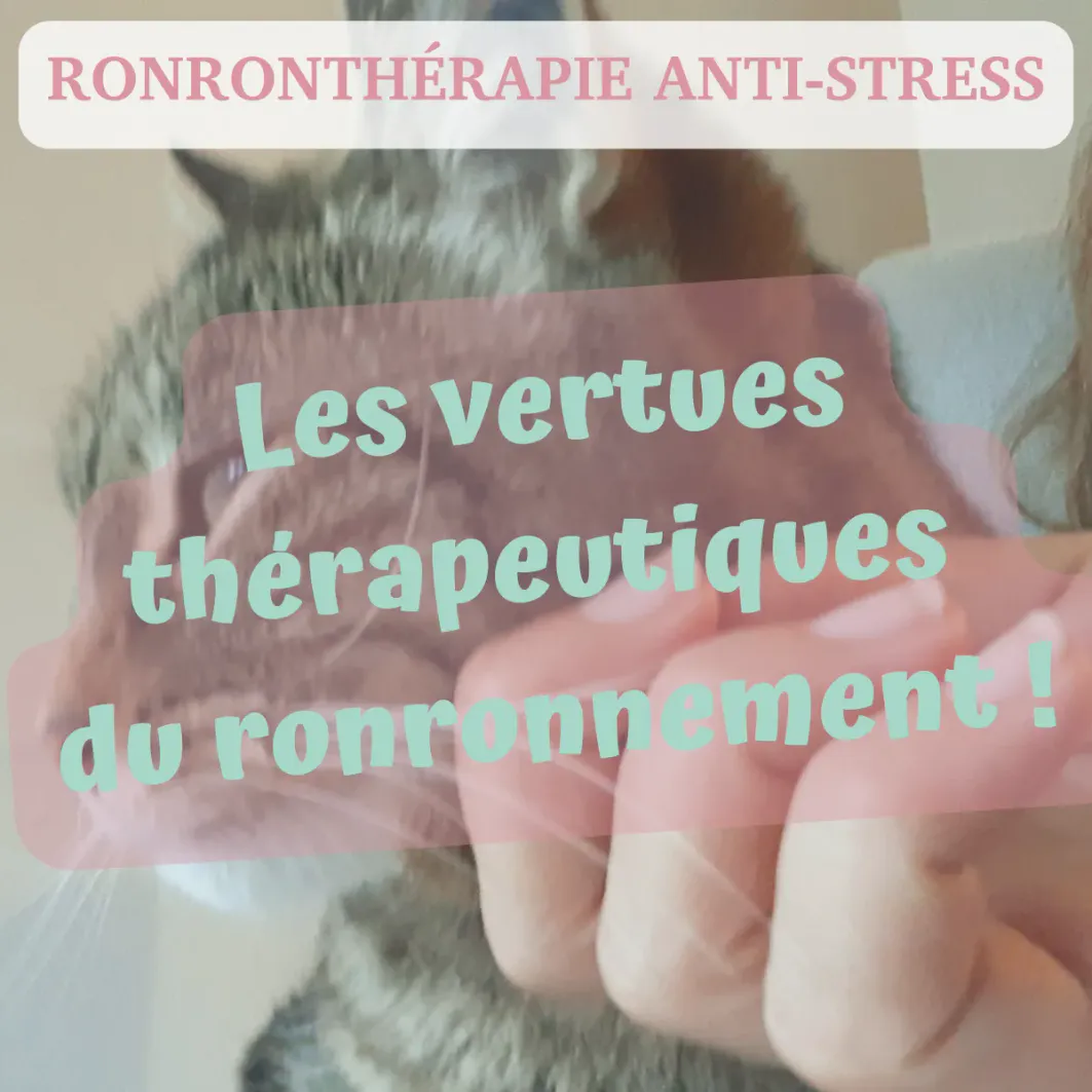 Le Pouvoir Magique du Ronronnement