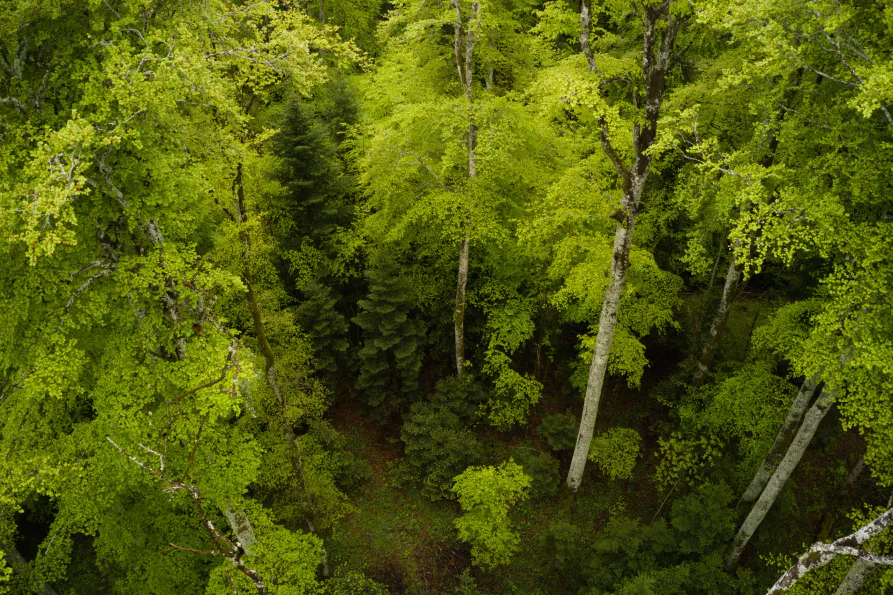 "L'intelligence collective pour faire face aux tumultes"