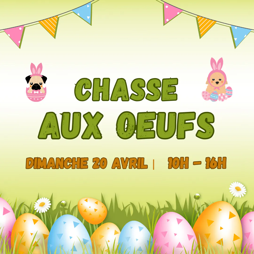 La chasse aux oeufs !