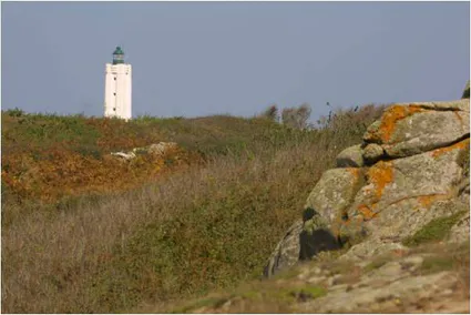 La portée des phares en mer : comprendre et calculer les distances