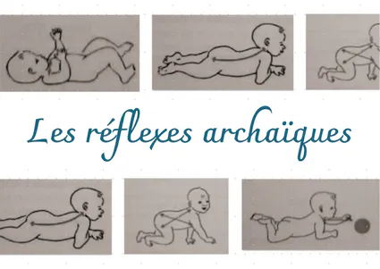 Les réflexes archaïques
