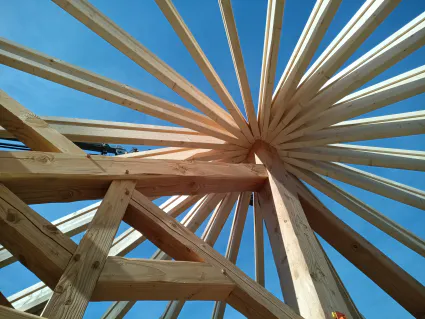 Img 20250318 155124 669