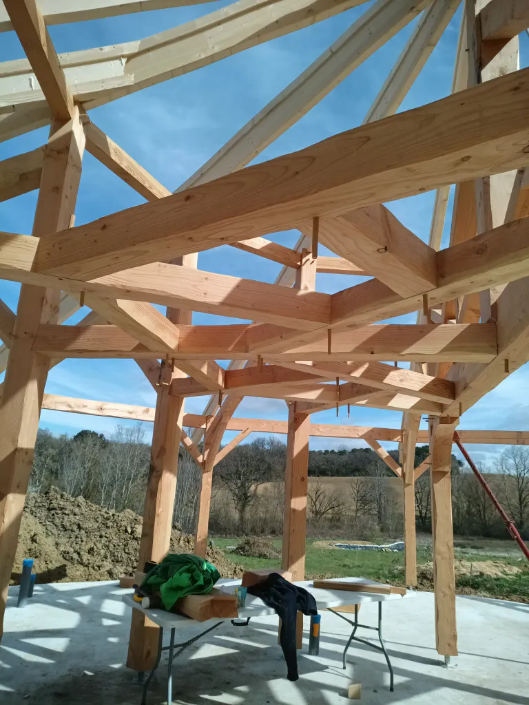 Img 20250310 122640 429