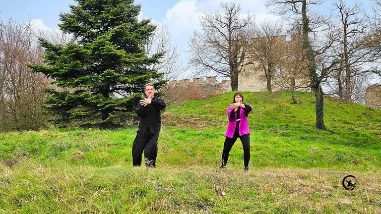 Stage Nature : Qi Gong - Tai Chi et balade pour se ressourcer en plein air à Saint-Quentin-Fallavier