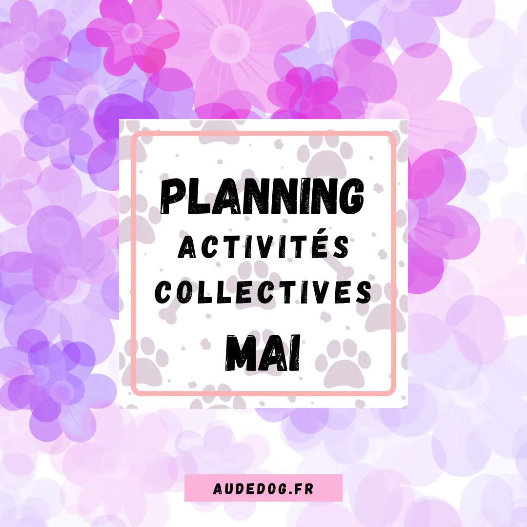 Planning des activités collectives de Mai