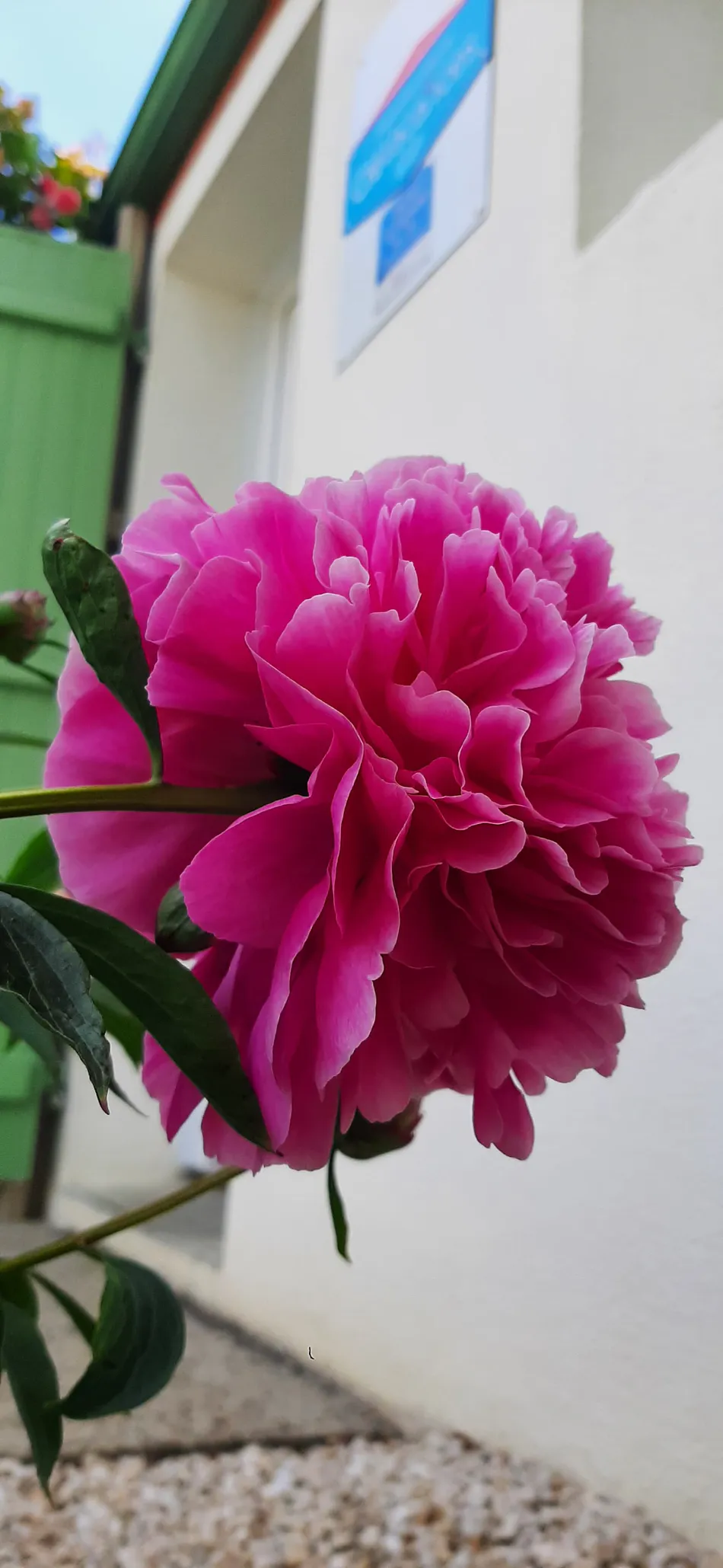 Whatsapp image 2025 05 19 a 16 10 00 52fc2fb7