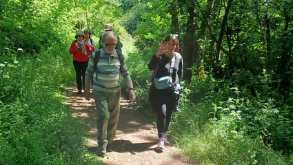 Qi gong tai chi marche nature villefontaine saint quentin fallavier artdumieuxetre 4