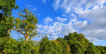 Témoignage de FSSD-Player : Céline Seince, RURENER