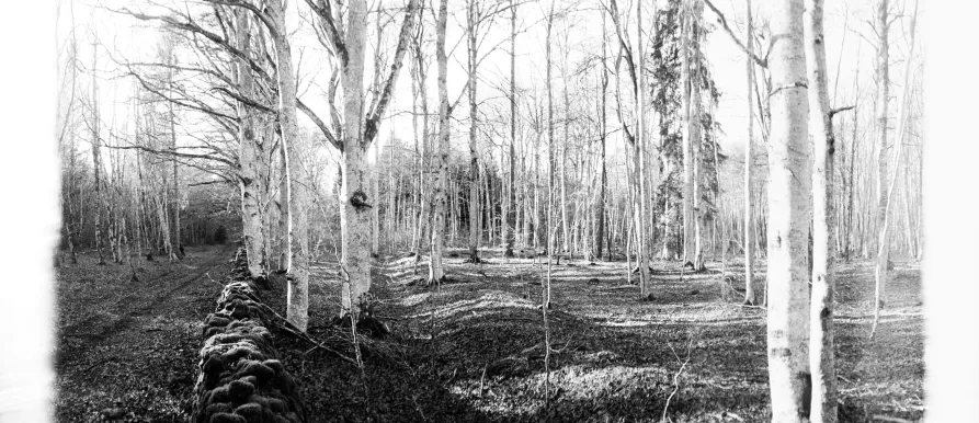 Êtes-vous plutôt contrat ou plutôt pacte ?