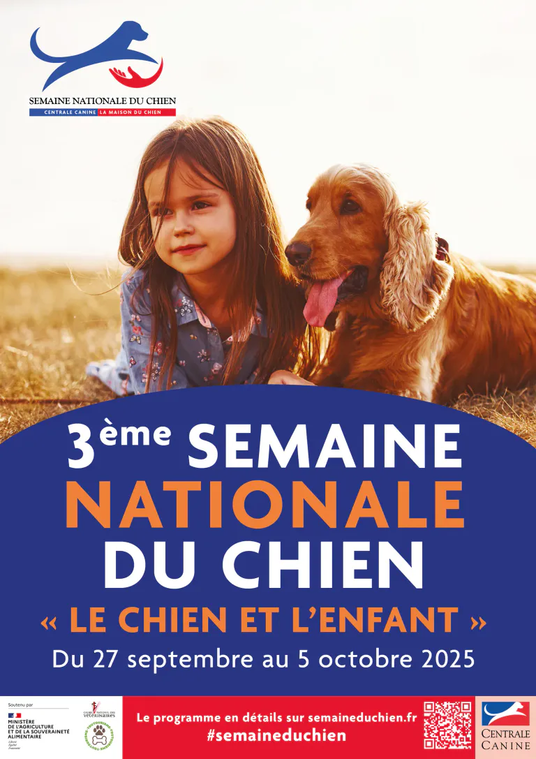 Affiche generaliste 4