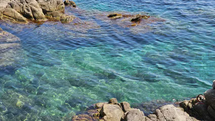 Cours qi gong et tai chi bourgoin ruy maubec nivolas villefontaine l isle d abeau ame artdumieuxetre adeline viviant 2025 08