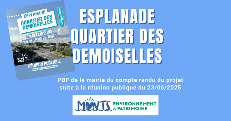 Embellissement Esplanade, Quartier des Demoiselles