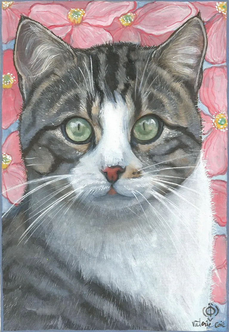 Chat gris aux clematites s cadr