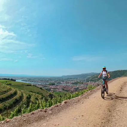 Capture d ecran 2025 08 23 a 09 38 03 dxo