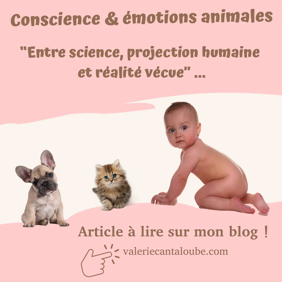 Conscience et émotions chez les animaux : entre science, projection humaine et réalité vécue