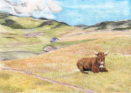 En cours de création : "Sancorne, une petite vache Salers pas comme les autres"