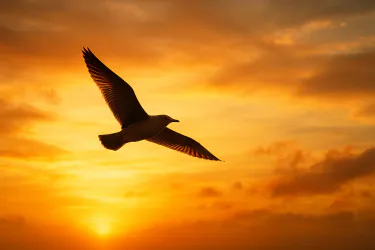 L'appel à la liberté d'être soi