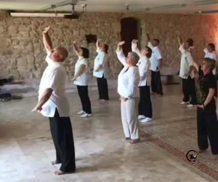 Formation qigong taichi artdumieuxetre adeline viviant