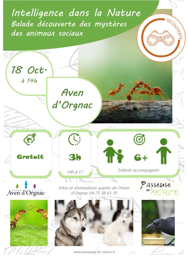 25 10 18 avenorgnac