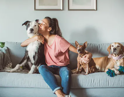 Pourquoi choisir un service agréé pour la garde d’animaux à Saint-Denis (La Réunion) ?