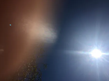 Au Coeur de la Lumière