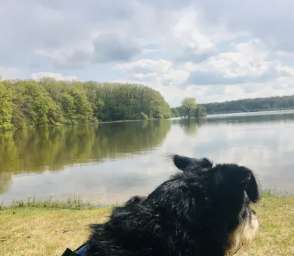 Philosophie et Bonheur