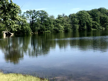 La Révolte des Verts