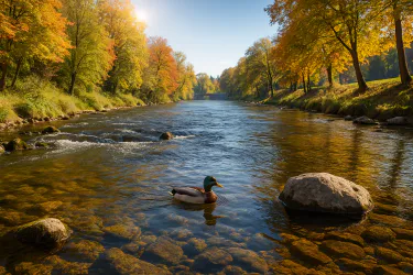 Laisse-toi descendre vers la Source en te laissant porter sans lutter