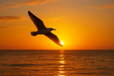 Entre la terre et l'infini, voilà ma place